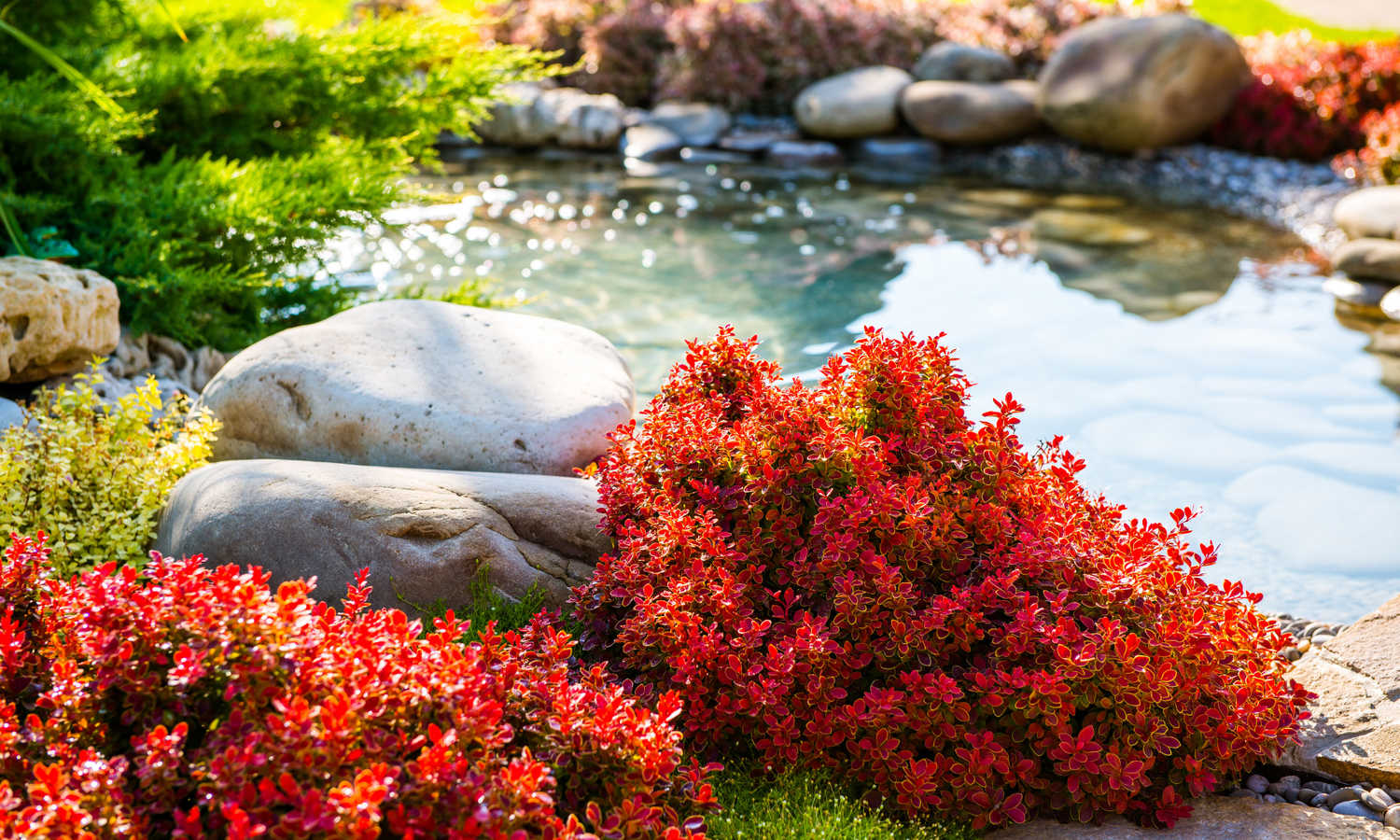 Landscaping Pic 49_png https://staging6.advizee.ca/wp-content/uploads/2024/11/Landscaping-Pic-49_png.png