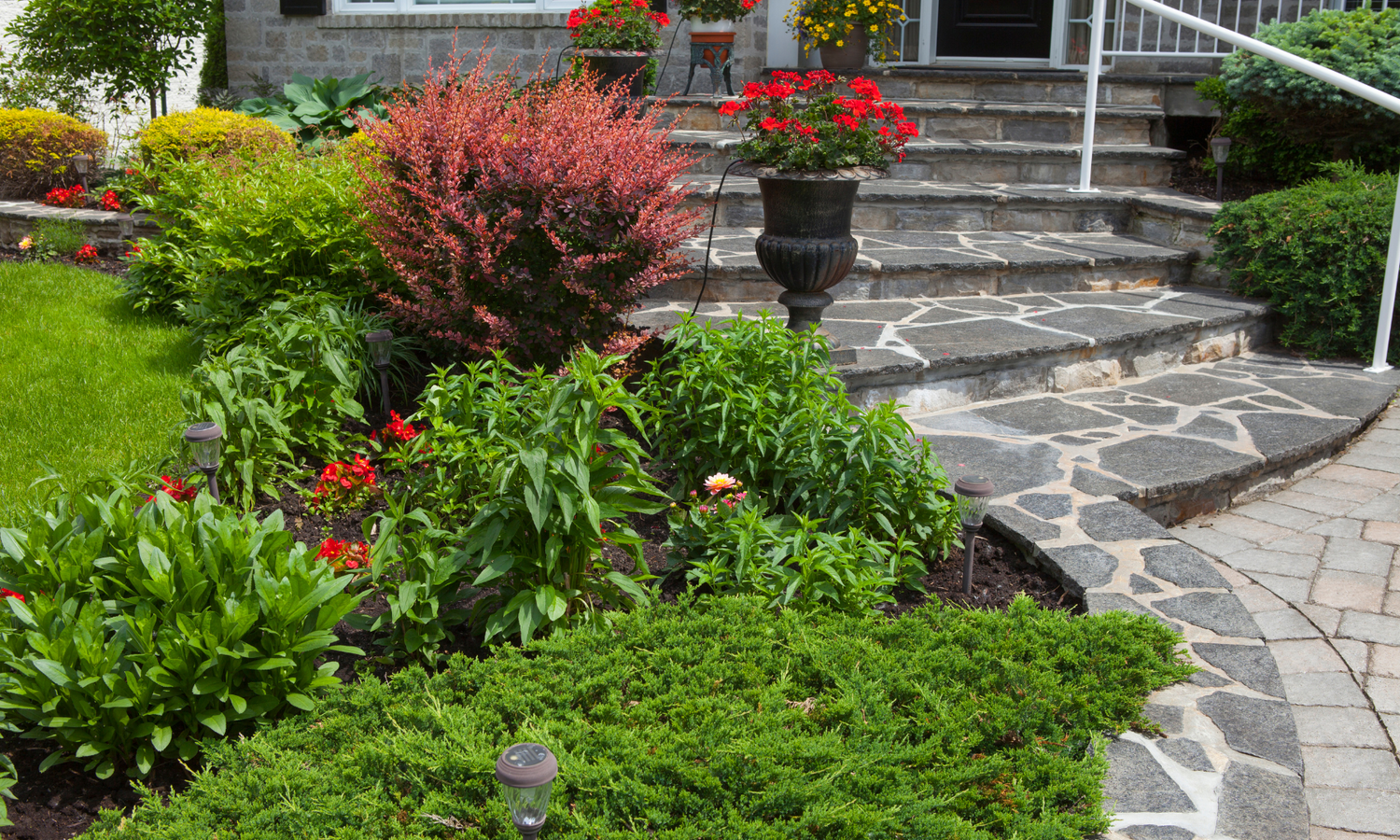 Landscaping Pic 50_png https://staging6.advizee.ca/wp-content/uploads/2024/12/Landscaping-Pic-50_png.png
